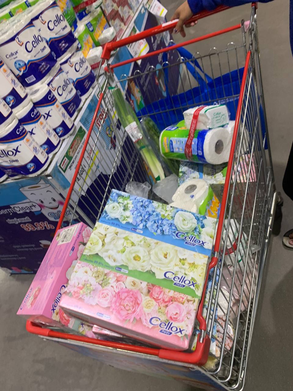 Modern Trade Distribution of Cellox and Hygienist Products by BJC at Makro Cambodia 12 Dec - Image 3
